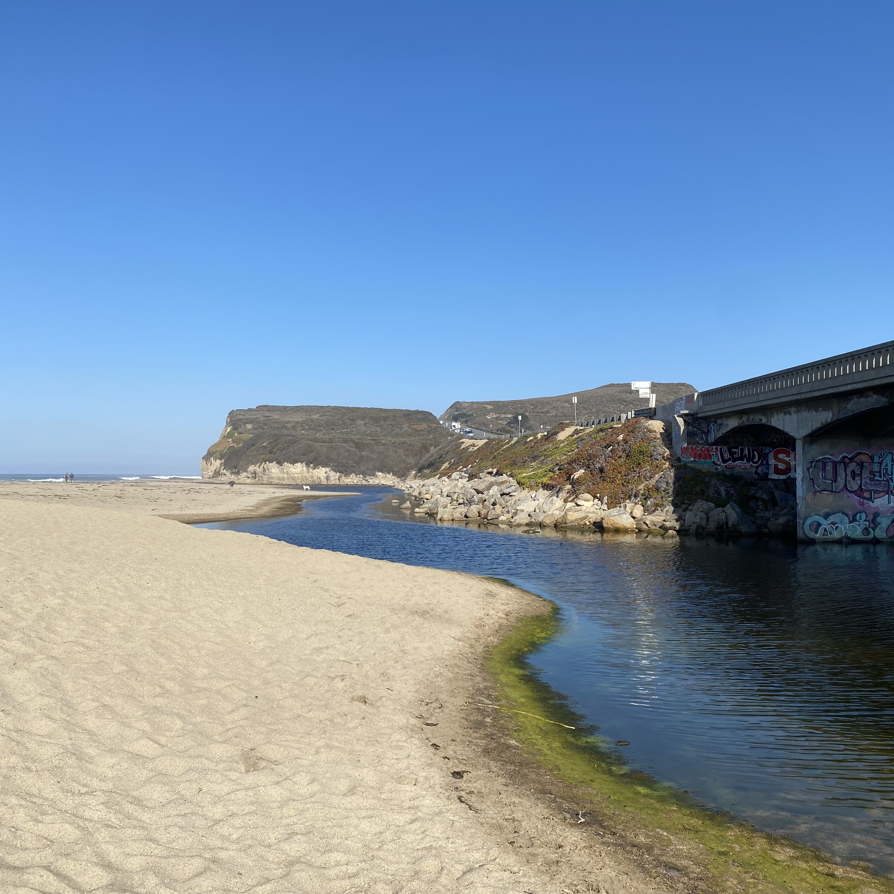 Beach Cleanup @ Scott Creek Beach - logo